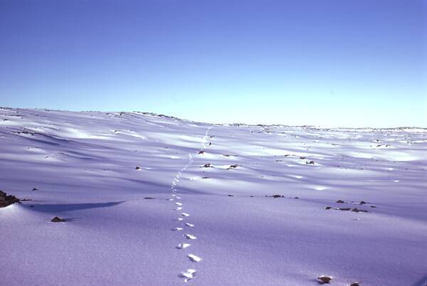 [PHOTO: Footprints in snow on plateau: 21kB]